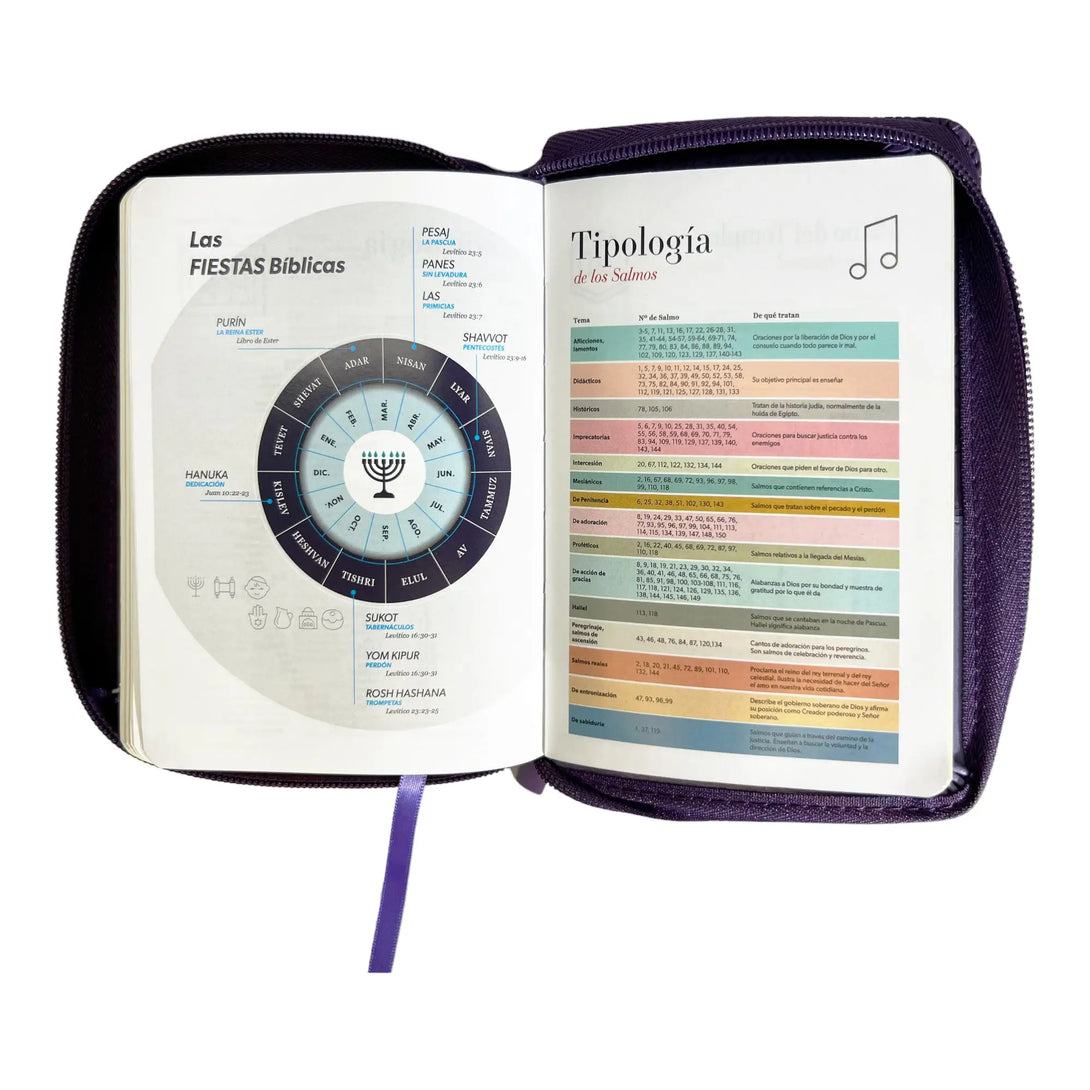 Biblia Reina Valera 1960 de bolsillo Imitación Piel