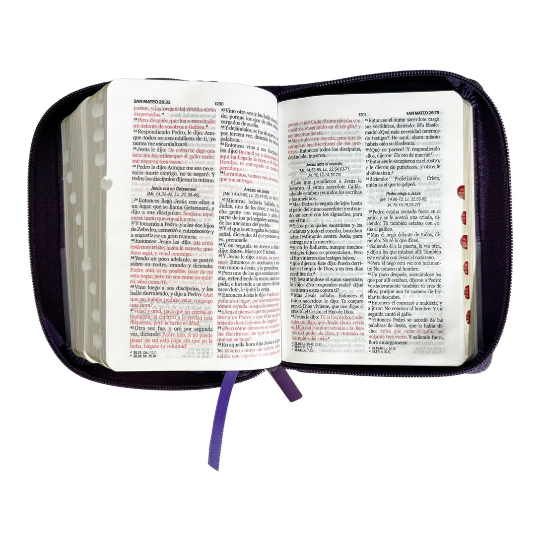 Biblia Reina Valera 1960 de bolsillo Imitación Piel