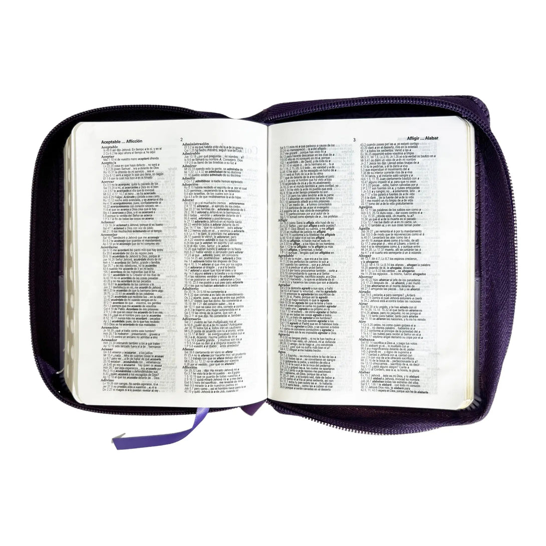 Biblia Reina Valera 1960 de bolsillo Imitación Piel