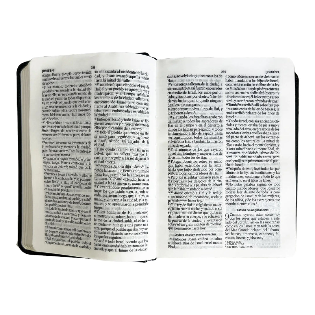 Biblia Reina Valera 1960 de bolsillo Imitación Piel negro.