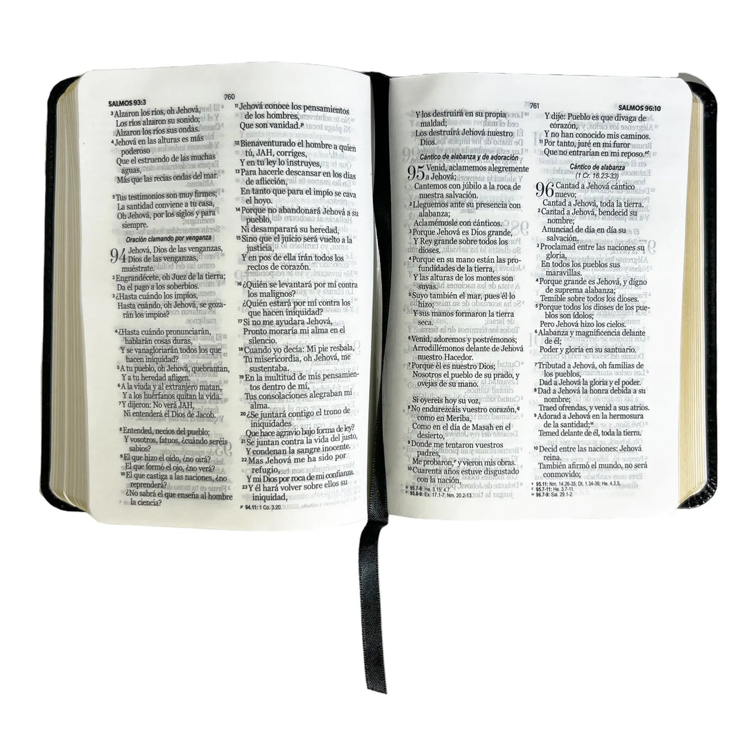 Biblia Reina Valera 1960 de bolsillo Imitación Piel negro.