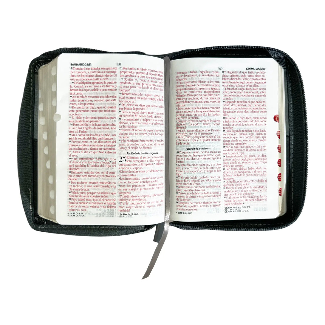 Biblia Reina Valera 1960 de bolsillo Imitación Piel