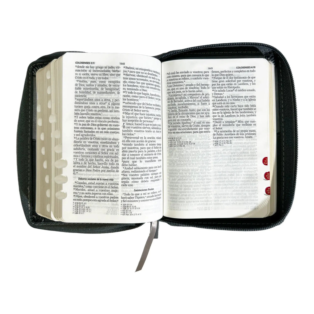 Biblia Reina Valera 1960 de bolsillo Imitación Piel