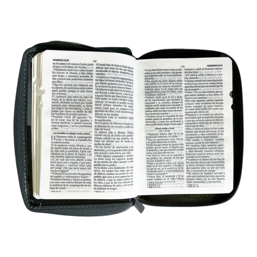 Biblia Reina Valera 1960 de bolsillo Imitación Piel