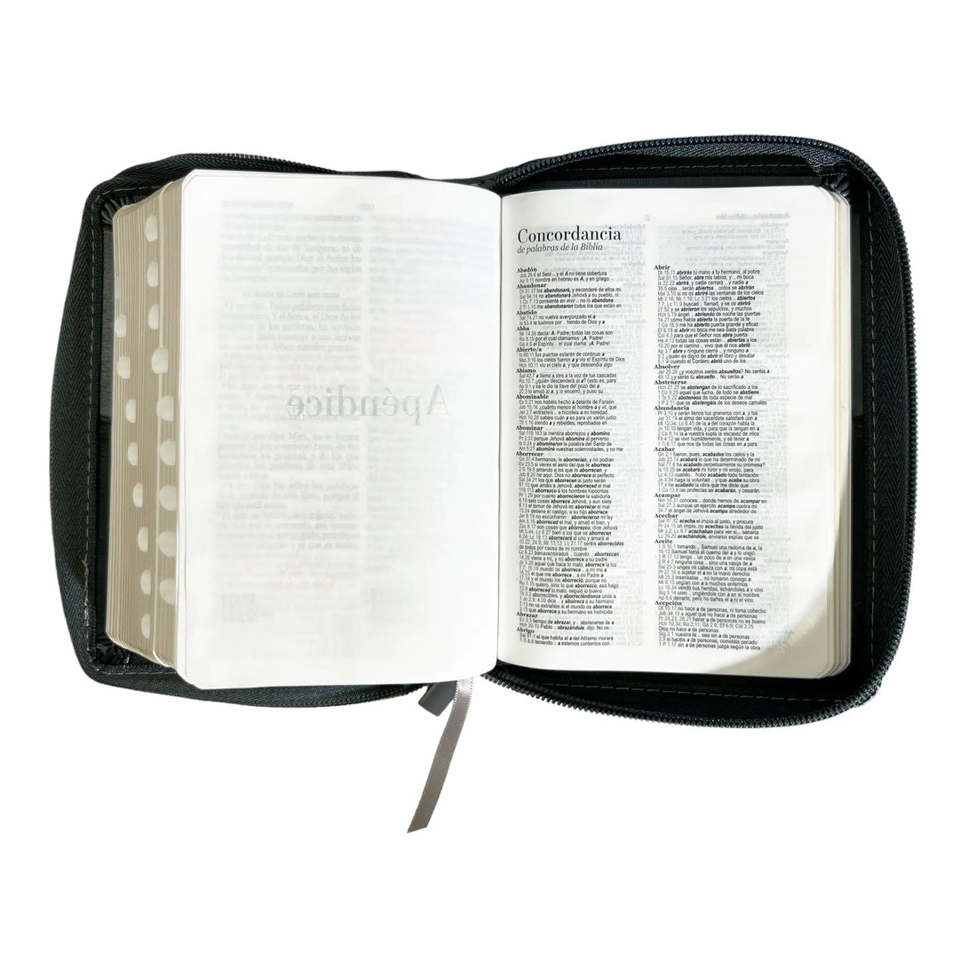 Biblia Reina Valera 1960 de bolsillo Imitación Piel