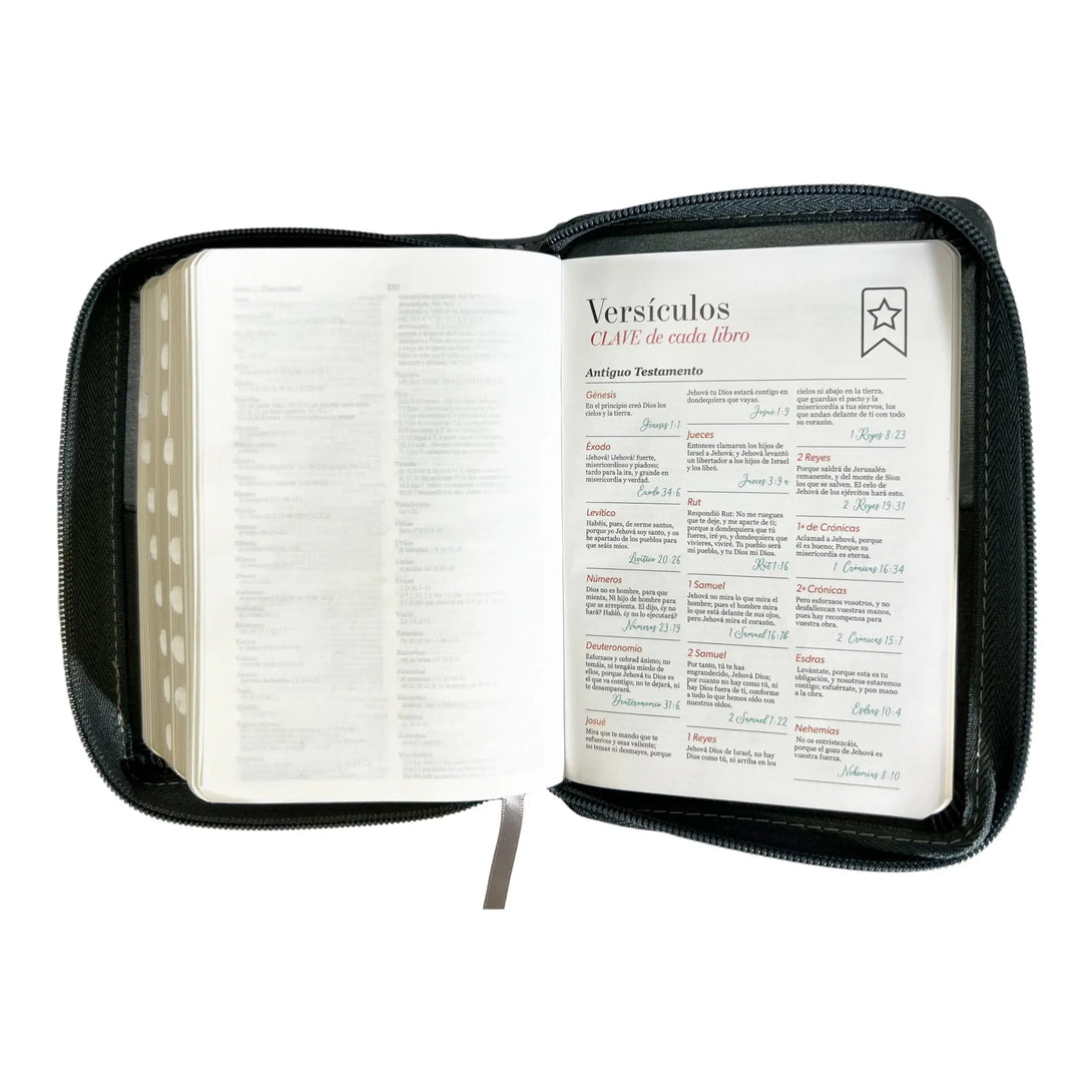 Biblia Reina Valera 1960 de bolsillo Imitación Piel