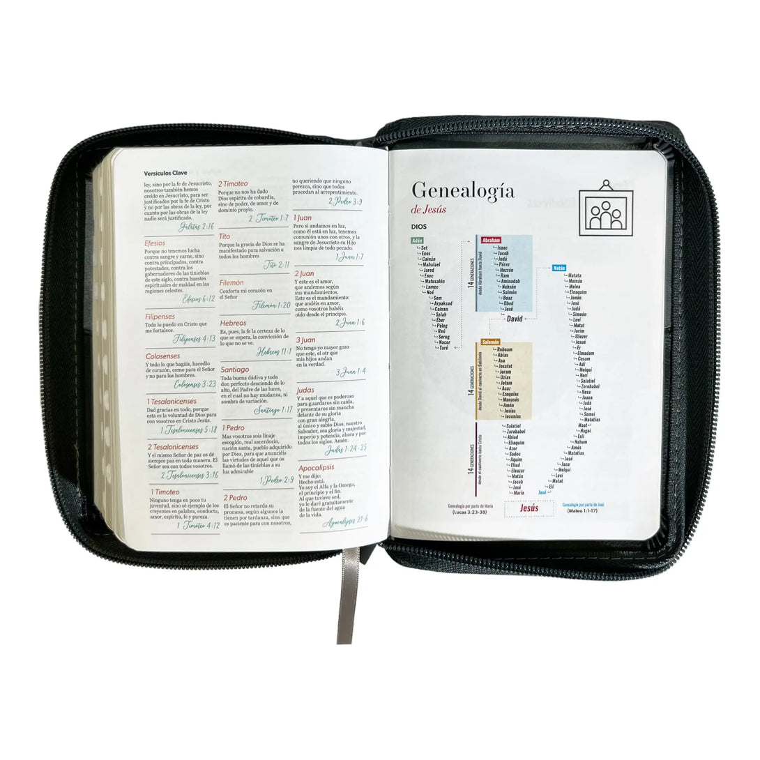 Biblia Reina Valera 1960 de bolsillo Imitación Piel