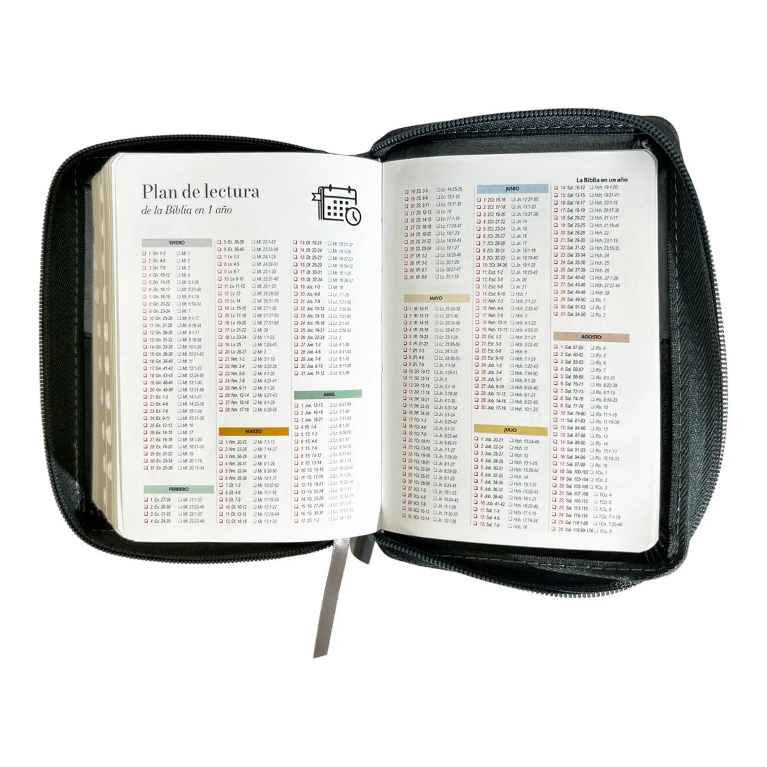 Biblia Reina Valera 1960 de bolsillo Imitación Piel