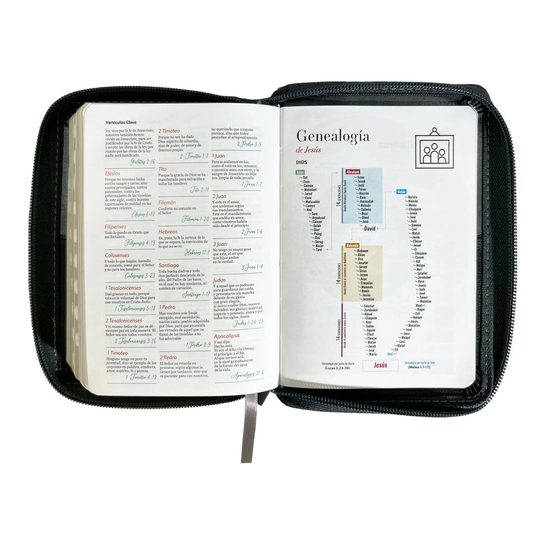 Biblia Reina Valera 1960 de bolsillo Imitación Piel