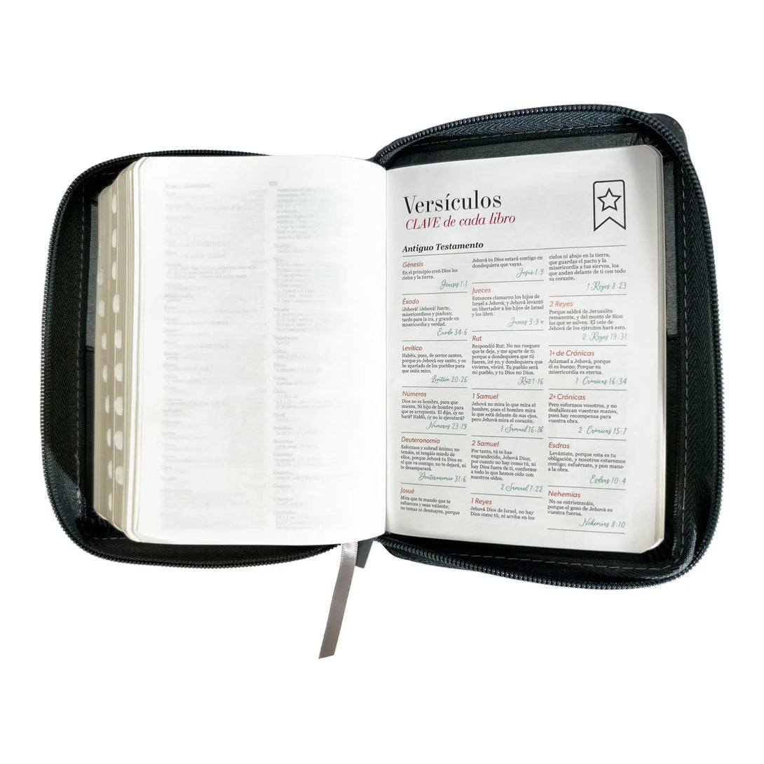 Biblia Reina Valera 1960 de bolsillo Imitación Piel