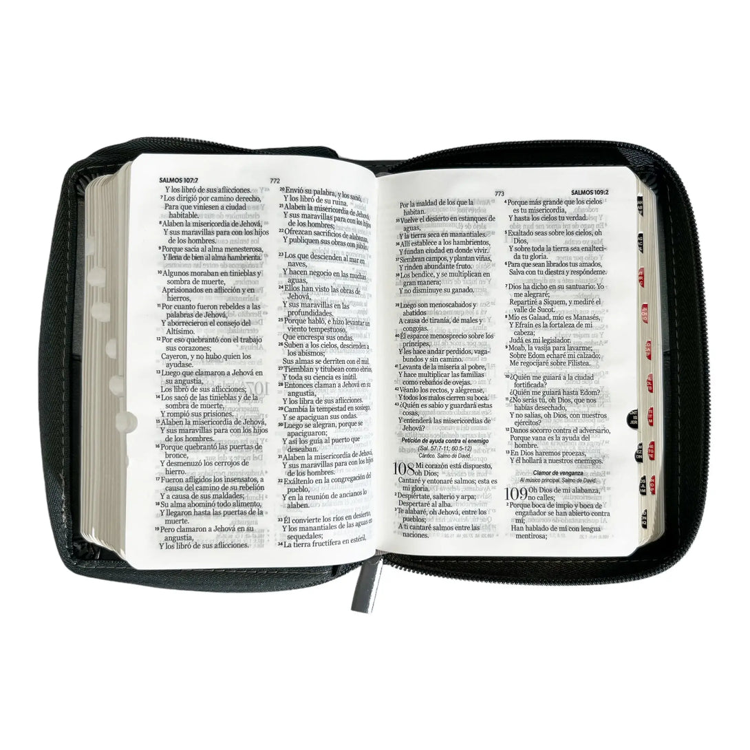 Biblia Reina Valera 1960 de bolsillo Imitación Piel