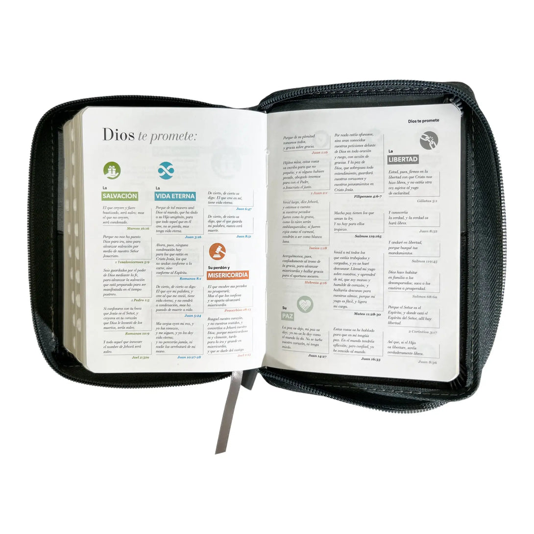 Biblia Reina Valera 1960 de bolsillo Imitación Piel