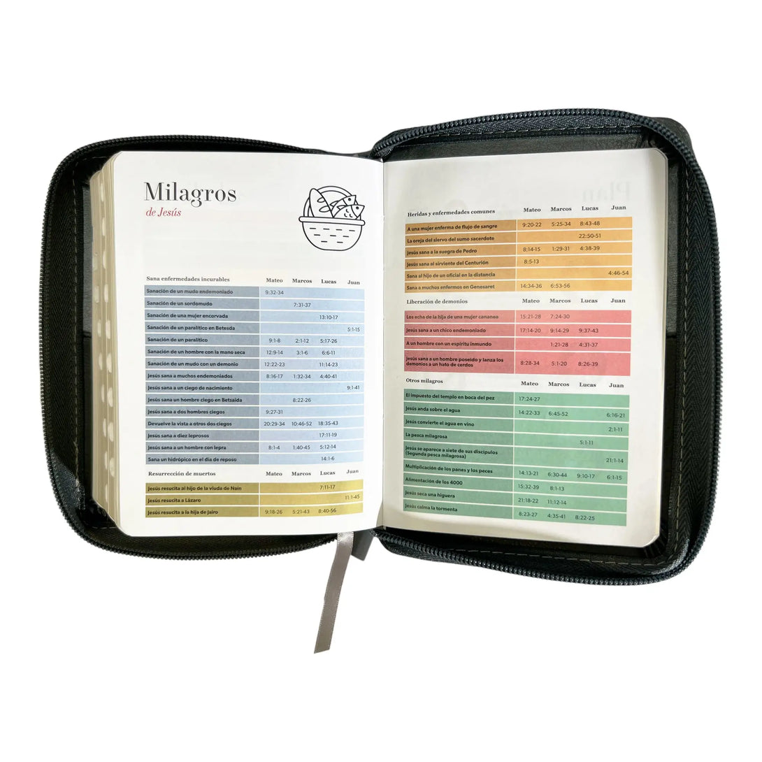 Biblia Reina Valera 1960 de bolsillo Imitación Piel