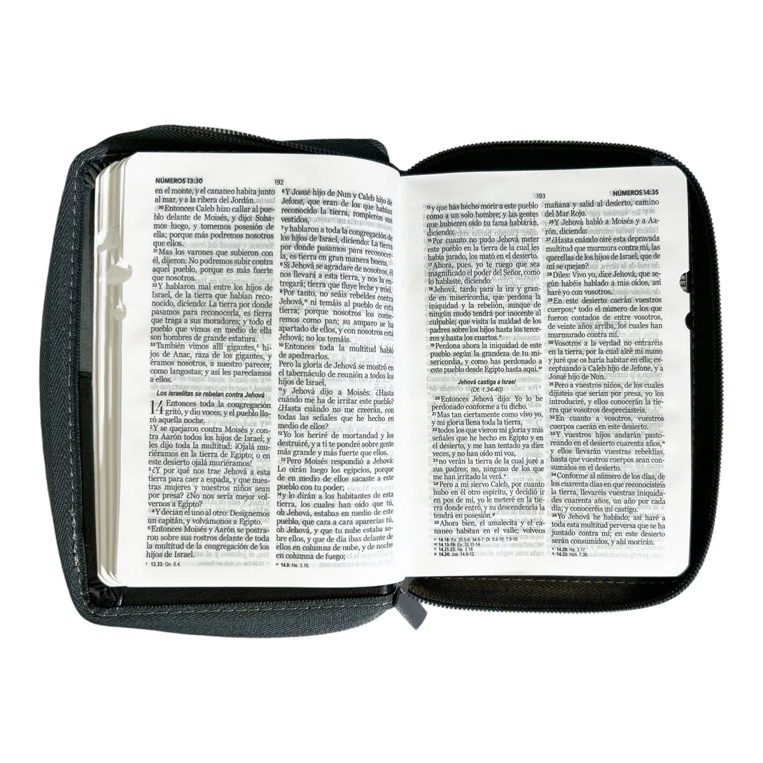 Biblia Reina Valera 1960 de bolsillo Imitación Piel