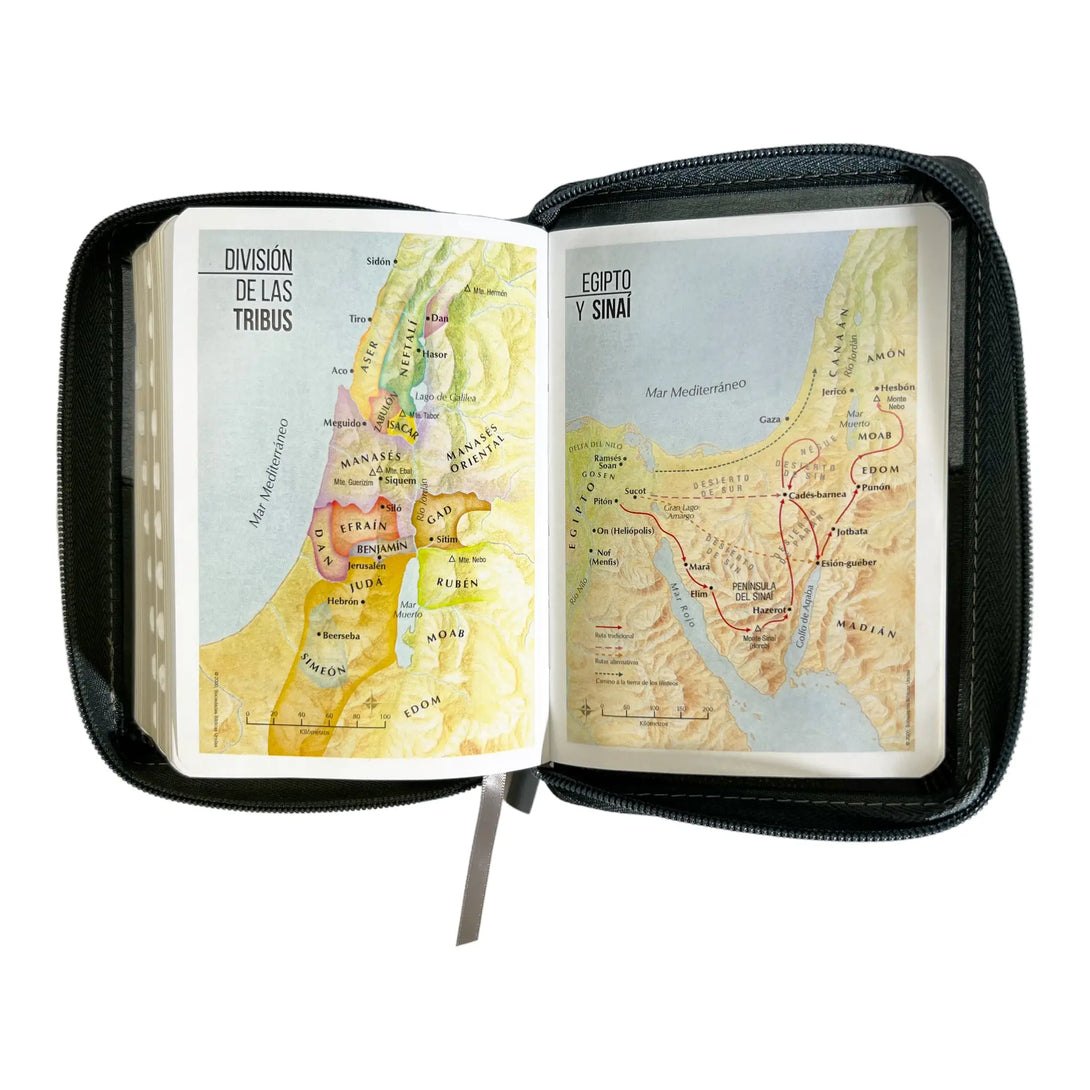 Biblia Reina Valera 1960 de bolsillo Imitación Piel
