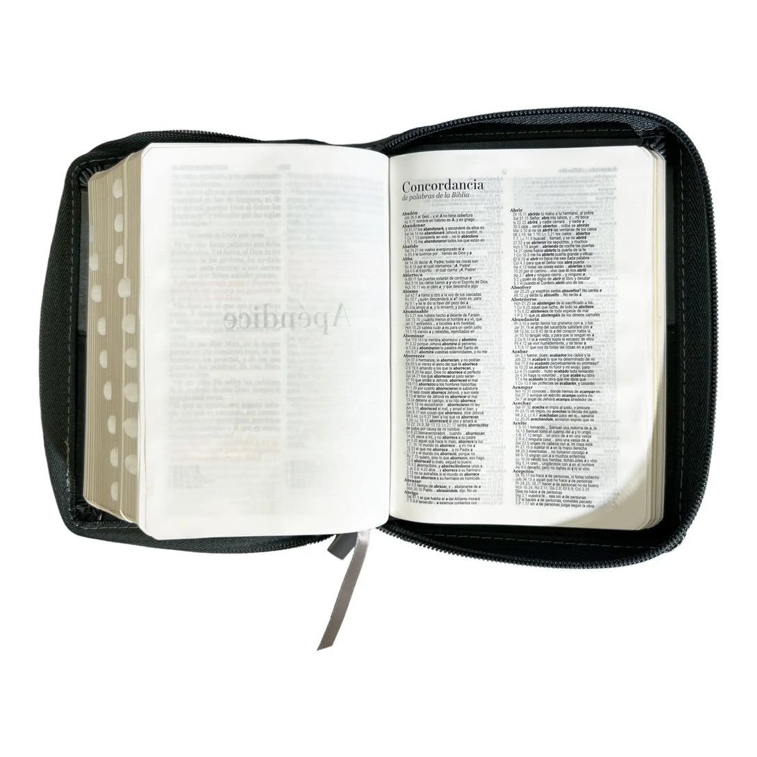 Biblia Reina Valera 1960 de bolsillo Imitación Piel