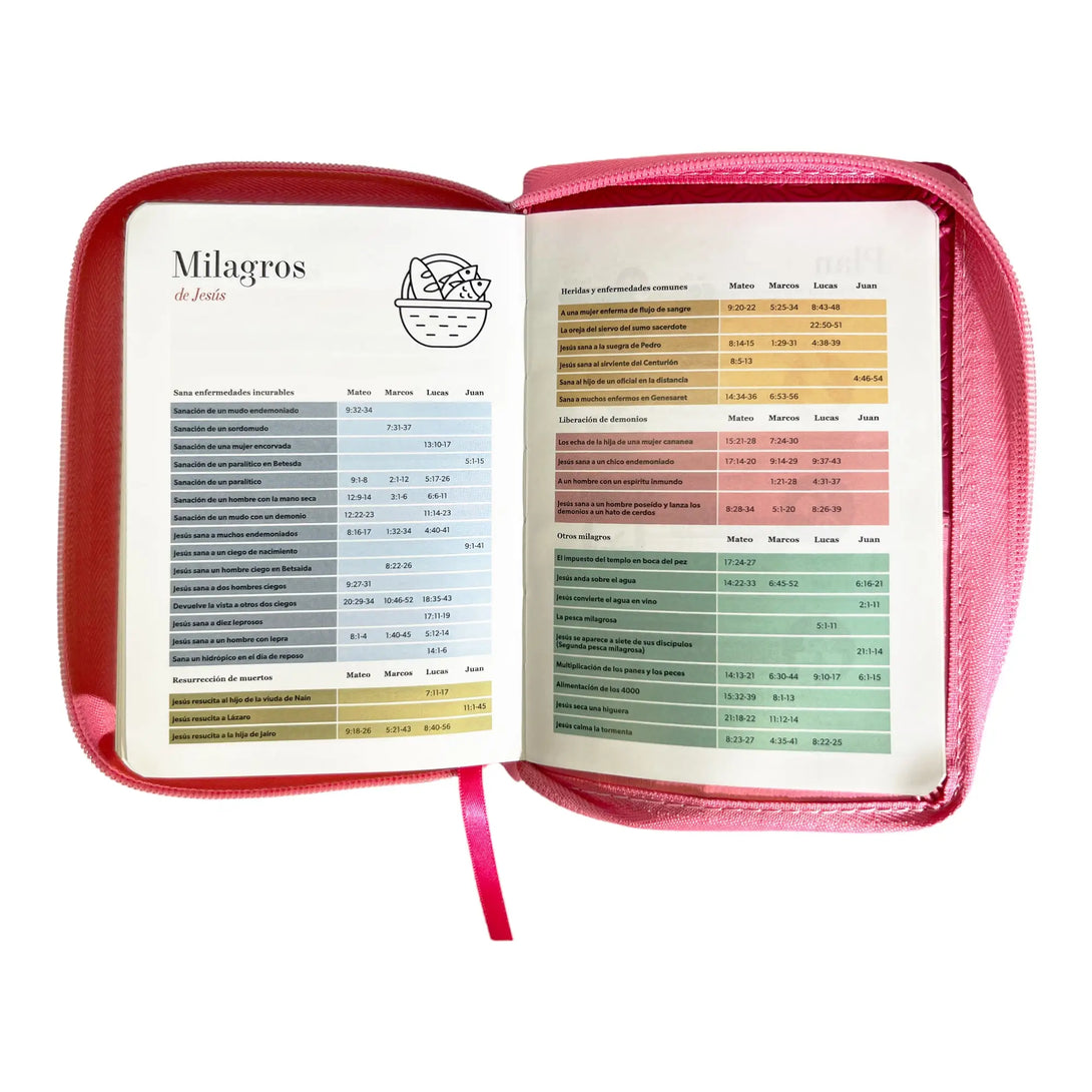 Biblia Reina Valera 1960 de bolsillo Imitación Piel