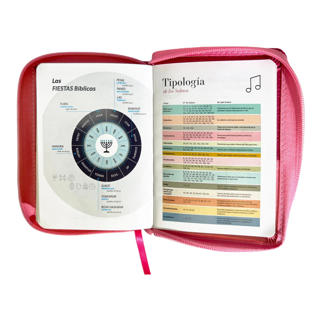 Biblia Reina Valera 1960 de bolsillo Imitación Piel