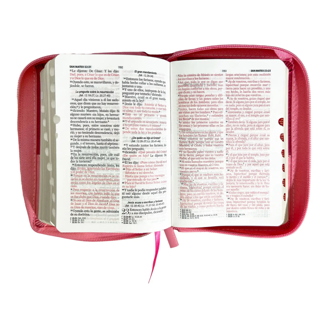 Biblia Reina Valera 1960 de bolsillo Imitación Piel
