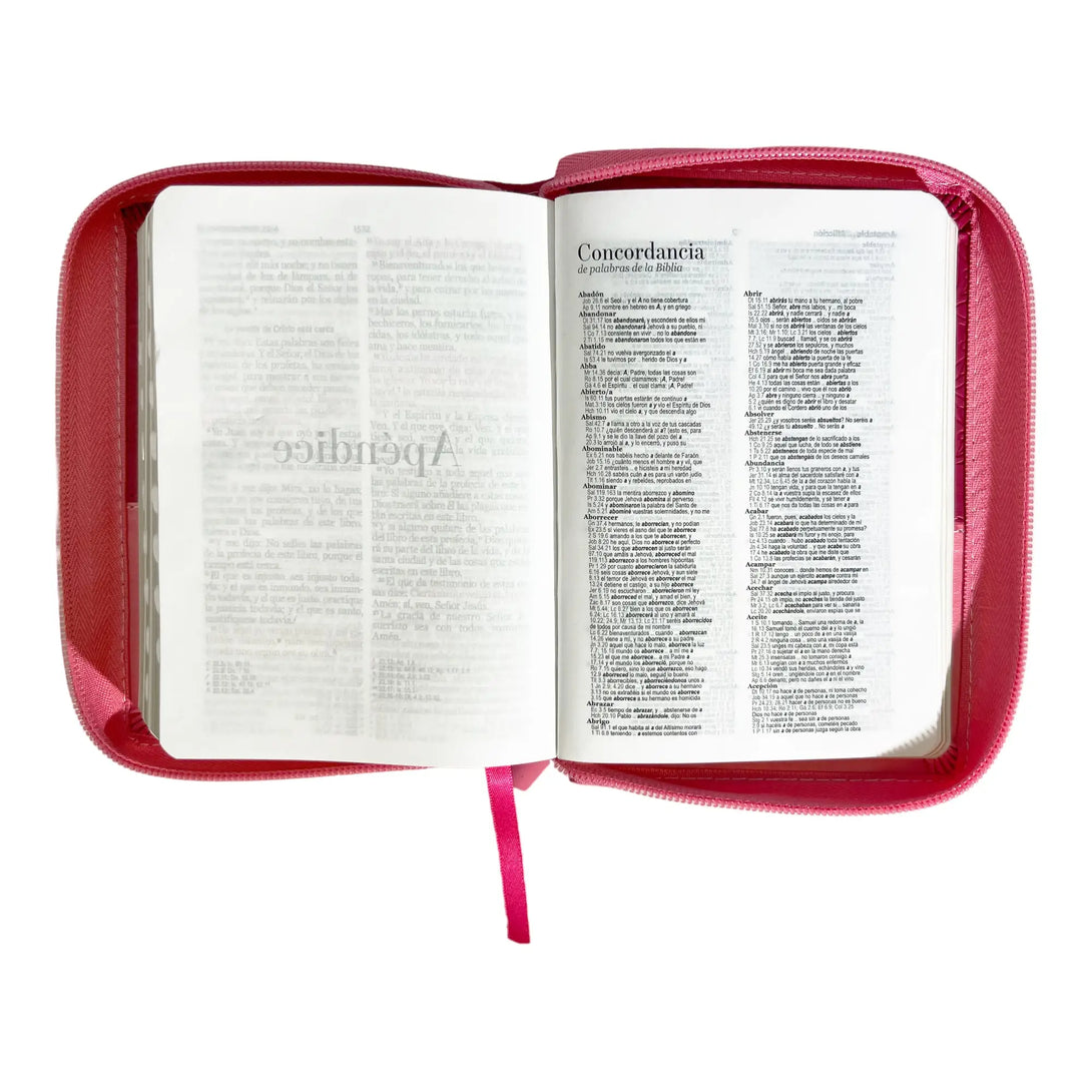 Biblia Reina Valera 1960 de bolsillo Imitación Piel