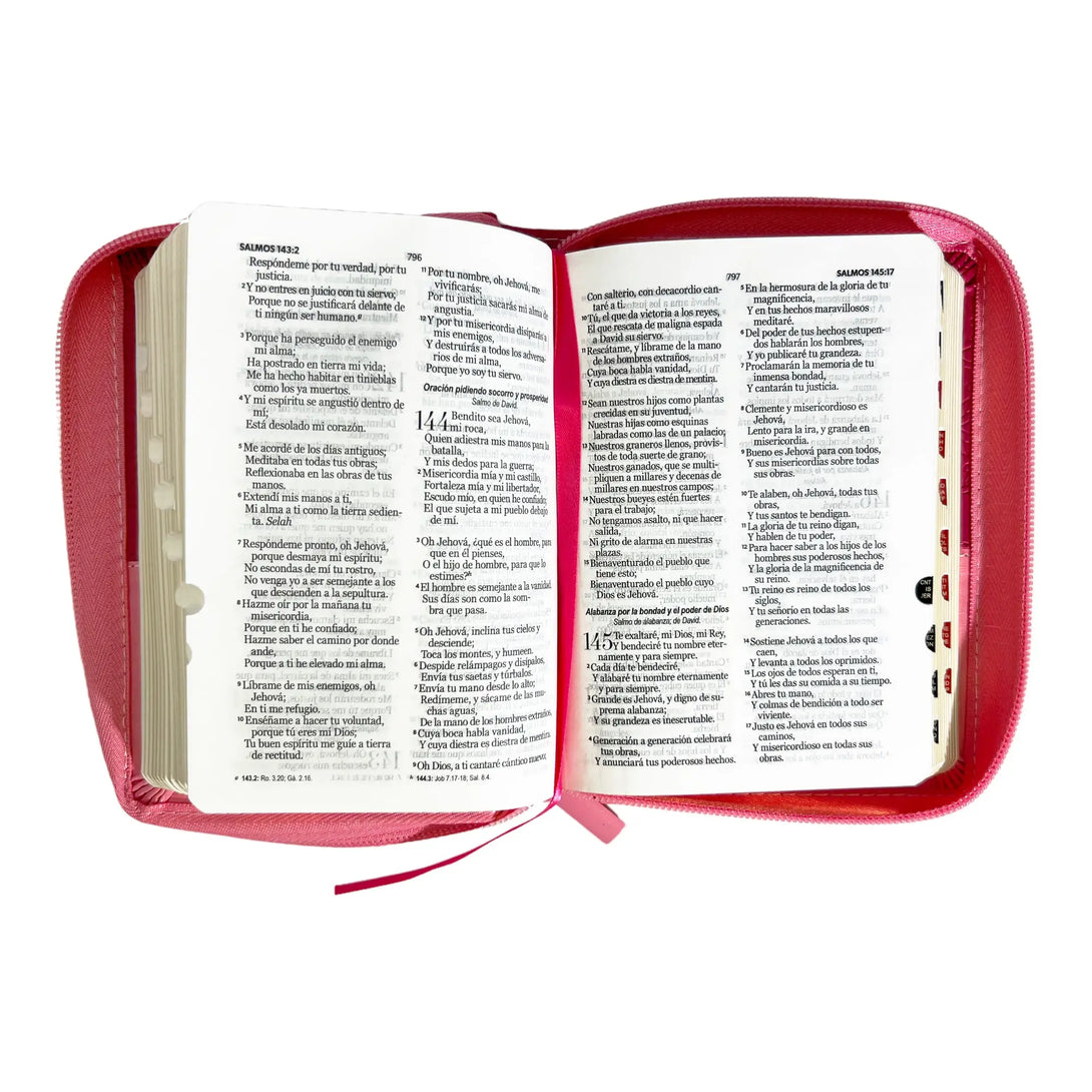 Biblia Reina Valera 1960 de bolsillo Imitación Piel