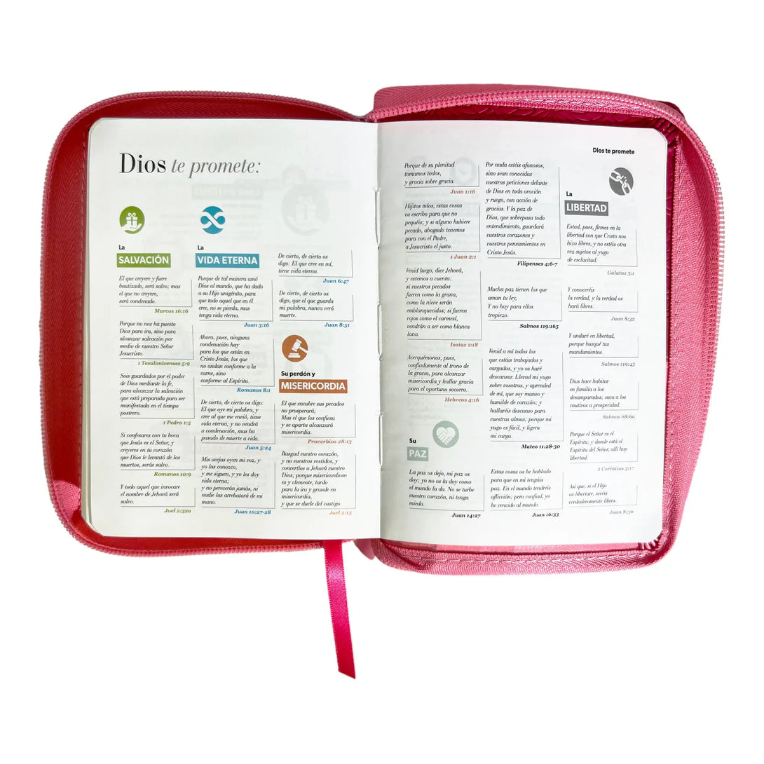 Biblia Reina Valera 1960 de bolsillo Imitación Piel