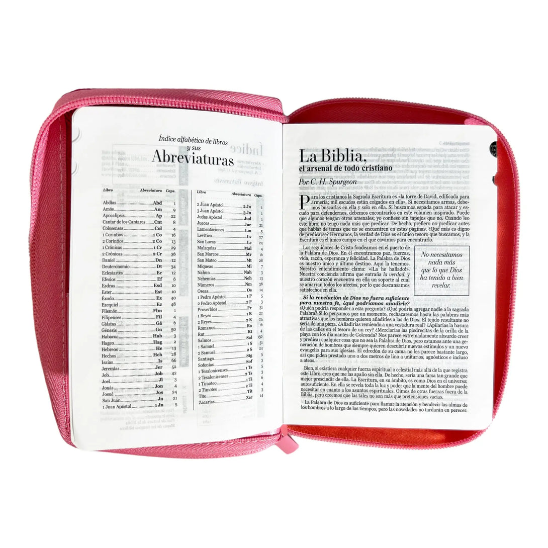 Biblia Reina Valera 1960 de bolsillo Imitación Piel