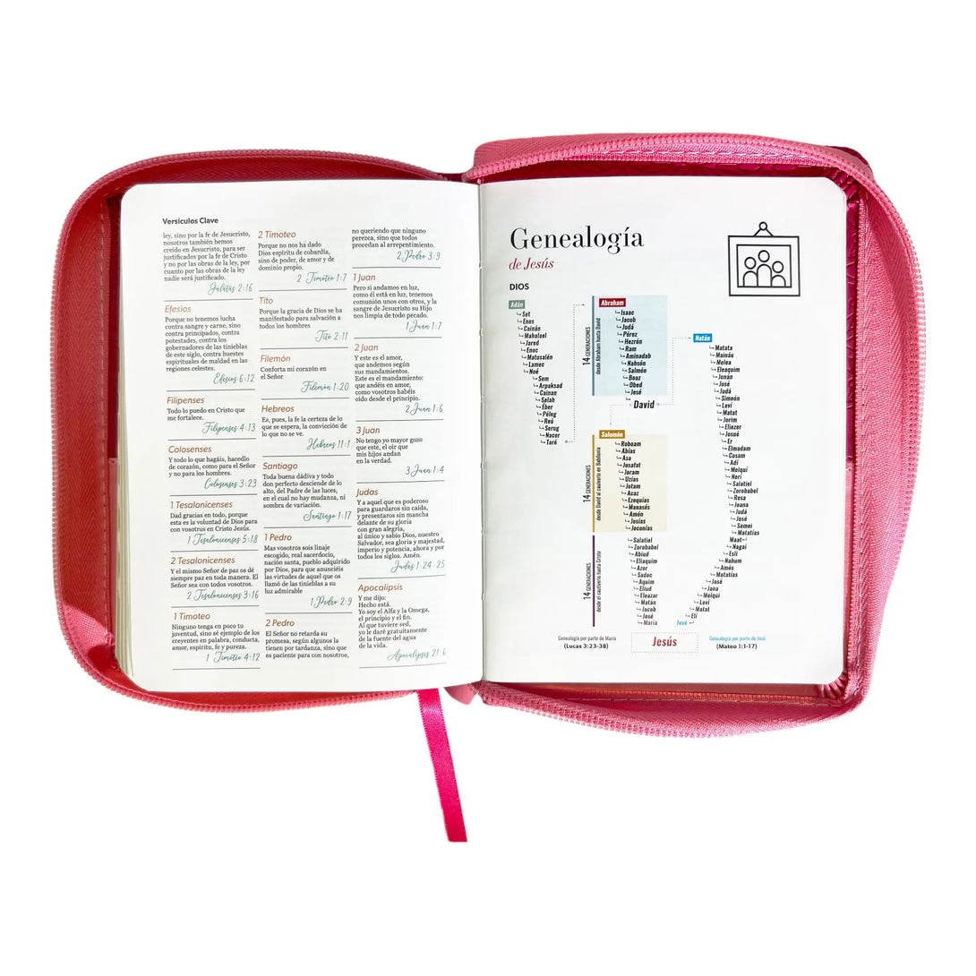 Biblia Reina Valera 1960 de bolsillo Imitación Piel