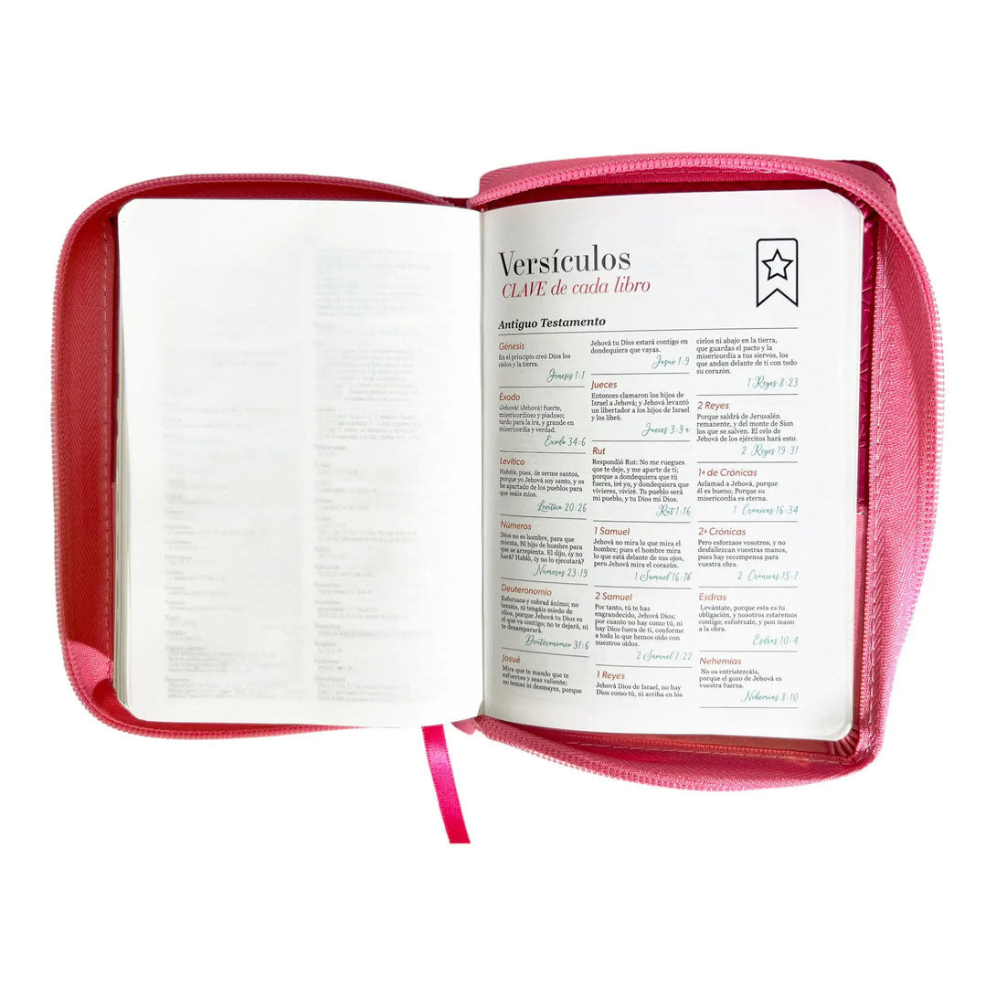 Biblia Reina Valera 1960 de bolsillo Imitación Piel