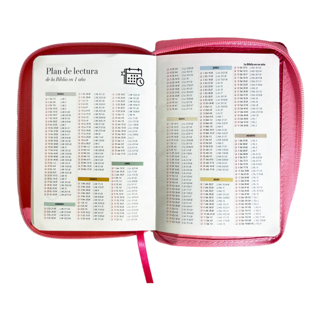 Biblia Reina Valera 1960 de bolsillo Imitación Piel