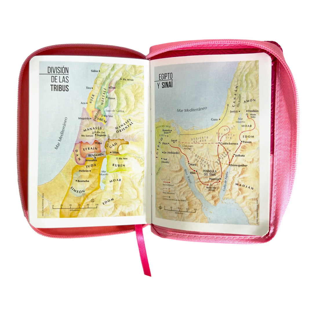 Biblia Reina Valera 1960 de bolsillo Imitación Piel