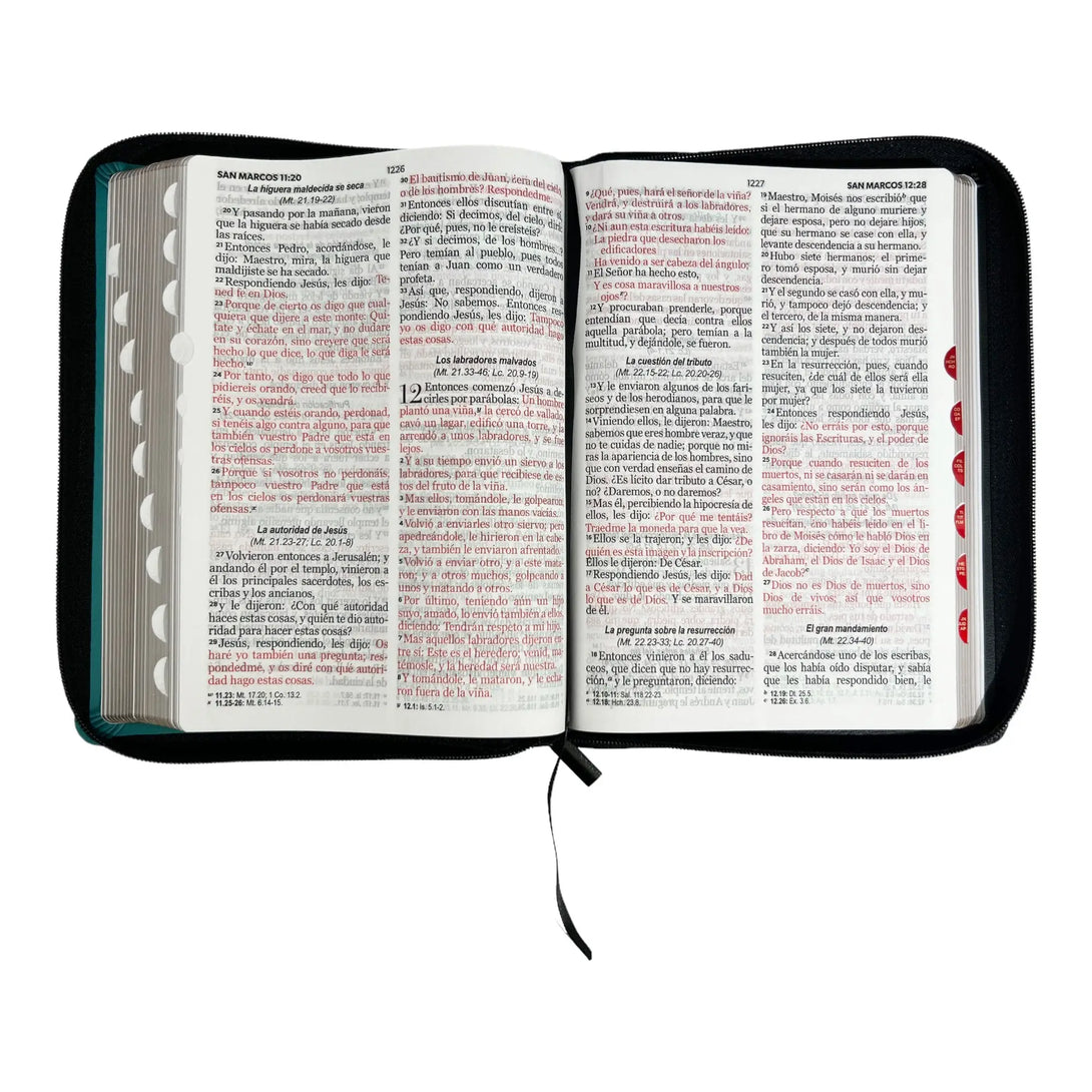 Biblia Reina Valera 1960 tamaño Gigante (170x235 mm) tamaño