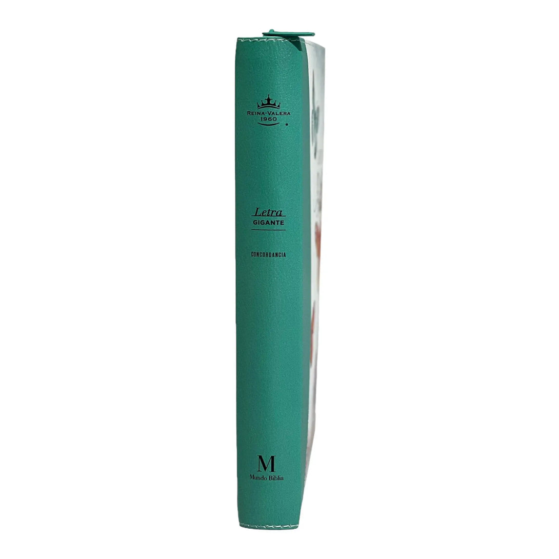 Biblia Reina Valera 1960 tamaño Gigante (170x235 mm) Letra