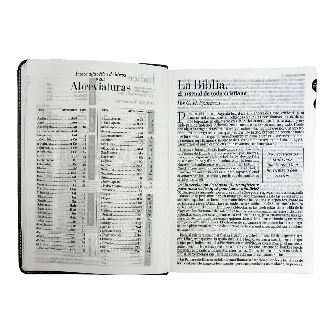 Biblia Reina Valera 1960 tamaño Gigante (170x235 mm),Letra