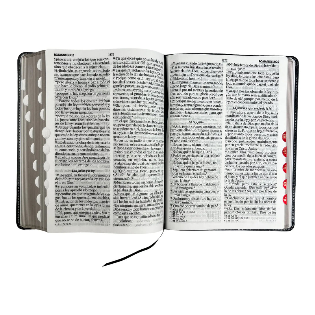 Biblia Reina Valera 1960 tamaño Gigante (170x235 mm),Letra