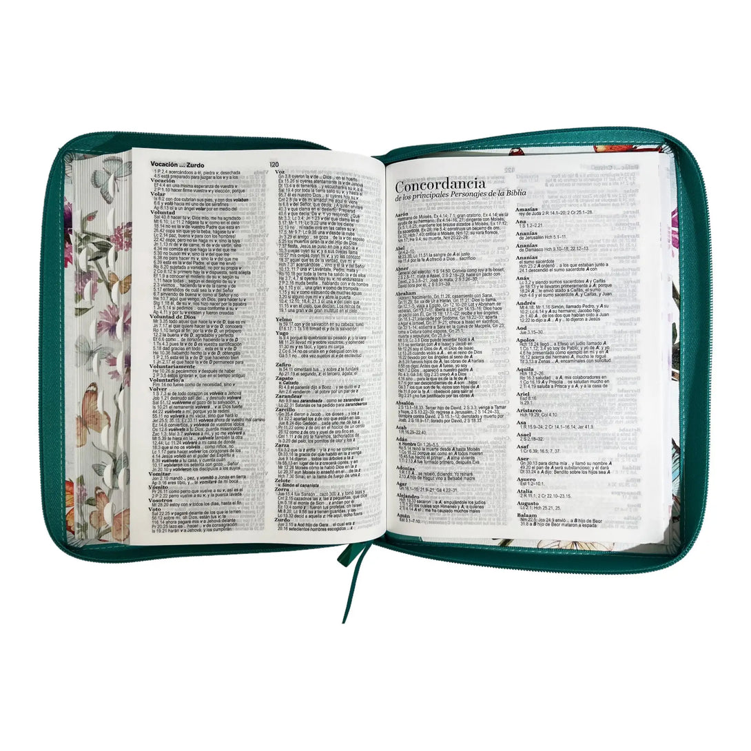 Biblia Reina Valera 1960 tamaño Gigante (170x235 mm) Letra