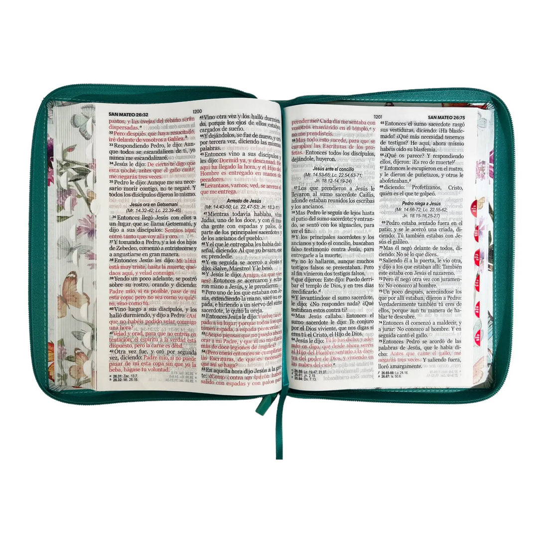 Biblia Reina Valera 1960 tamaño Gigante (170x235 mm) Letra