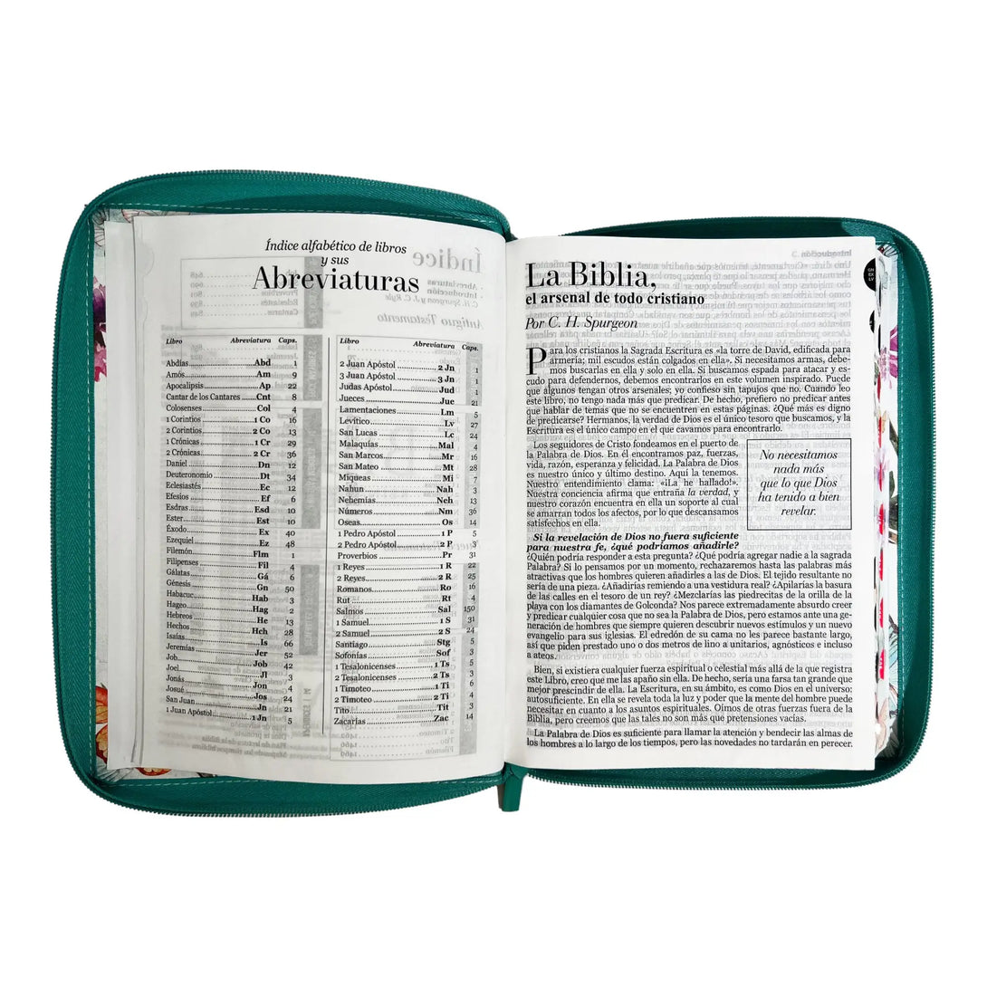 Biblia Reina Valera 1960 tamaño Gigante (170x235 mm) Letra