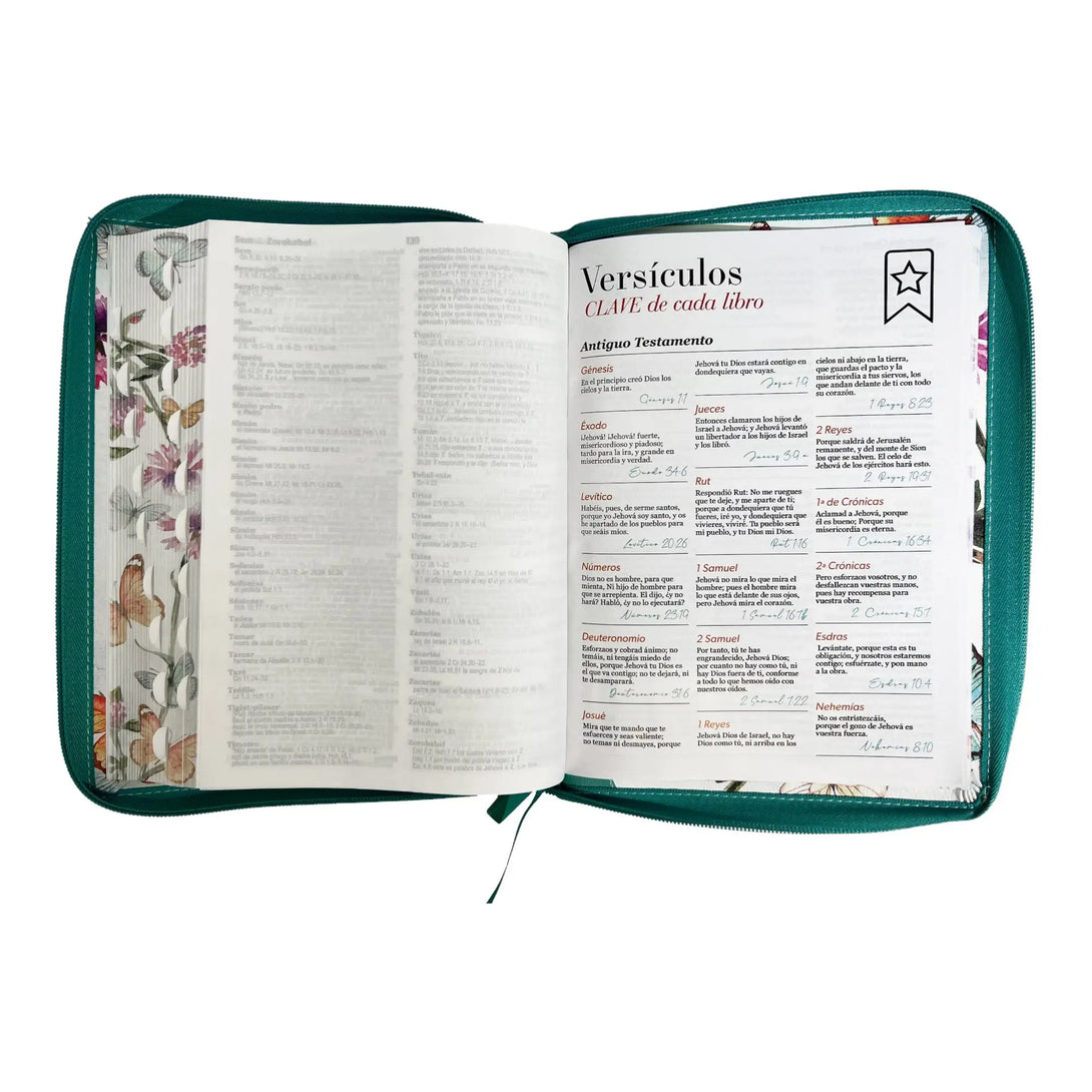 Biblia Reina Valera 1960 tamaño Gigante (170x235 mm) Letra
