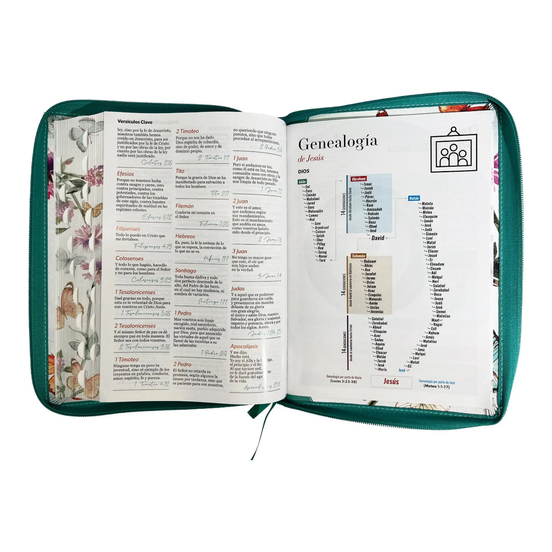 Biblia Reina Valera 1960 tamaño Gigante (170x235 mm) Letra