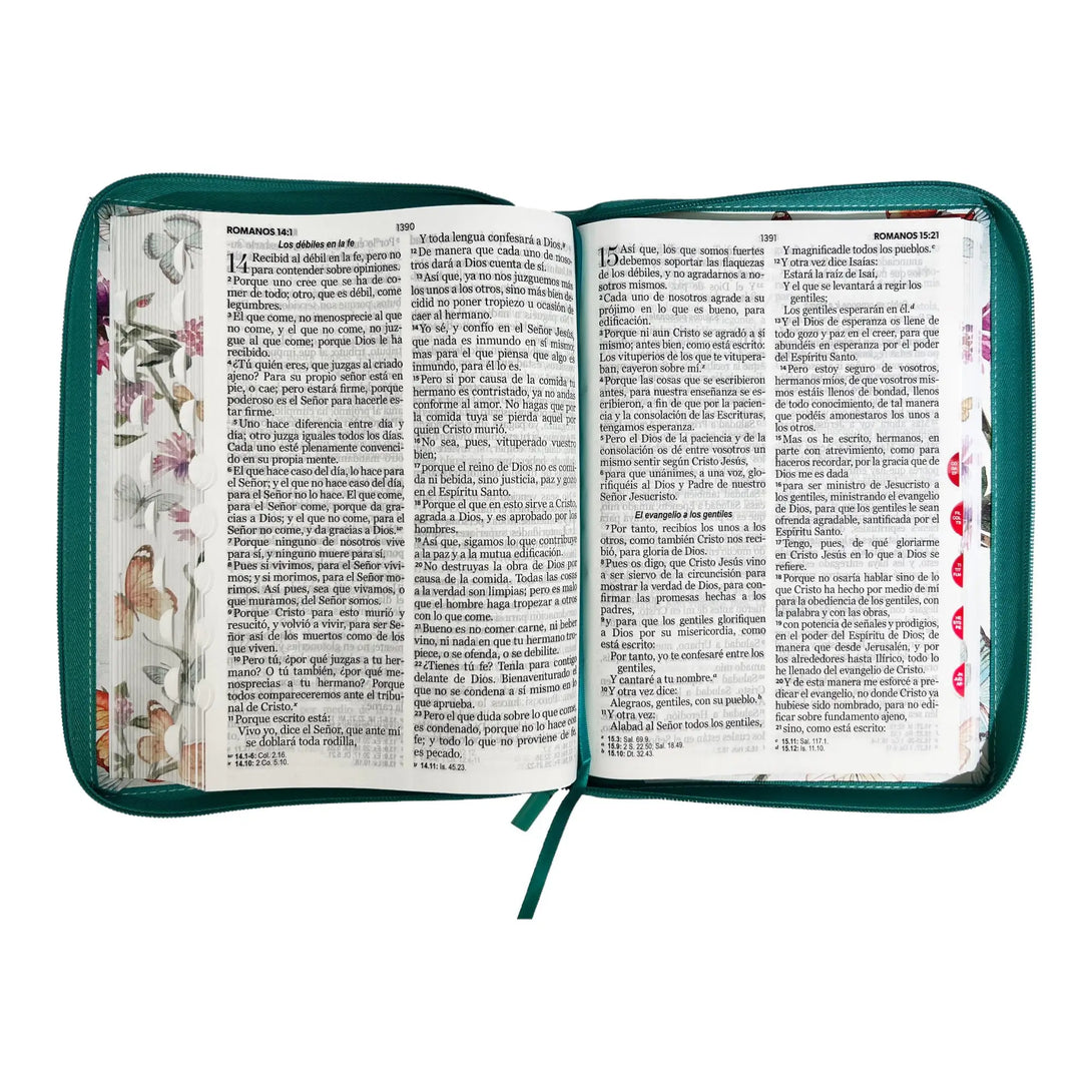 Biblia Reina Valera 1960 tamaño Gigante (170x235 mm) Letra