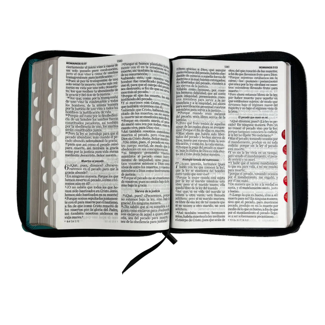 Biblia Reina Valera 1960 tamaño Gigante (170x235 mm) tamaño