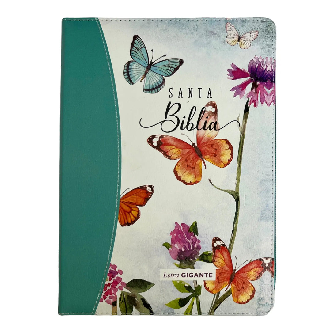 Biblia Reina Valera 1960 tamaño Gigante (170x235 mm) Letra