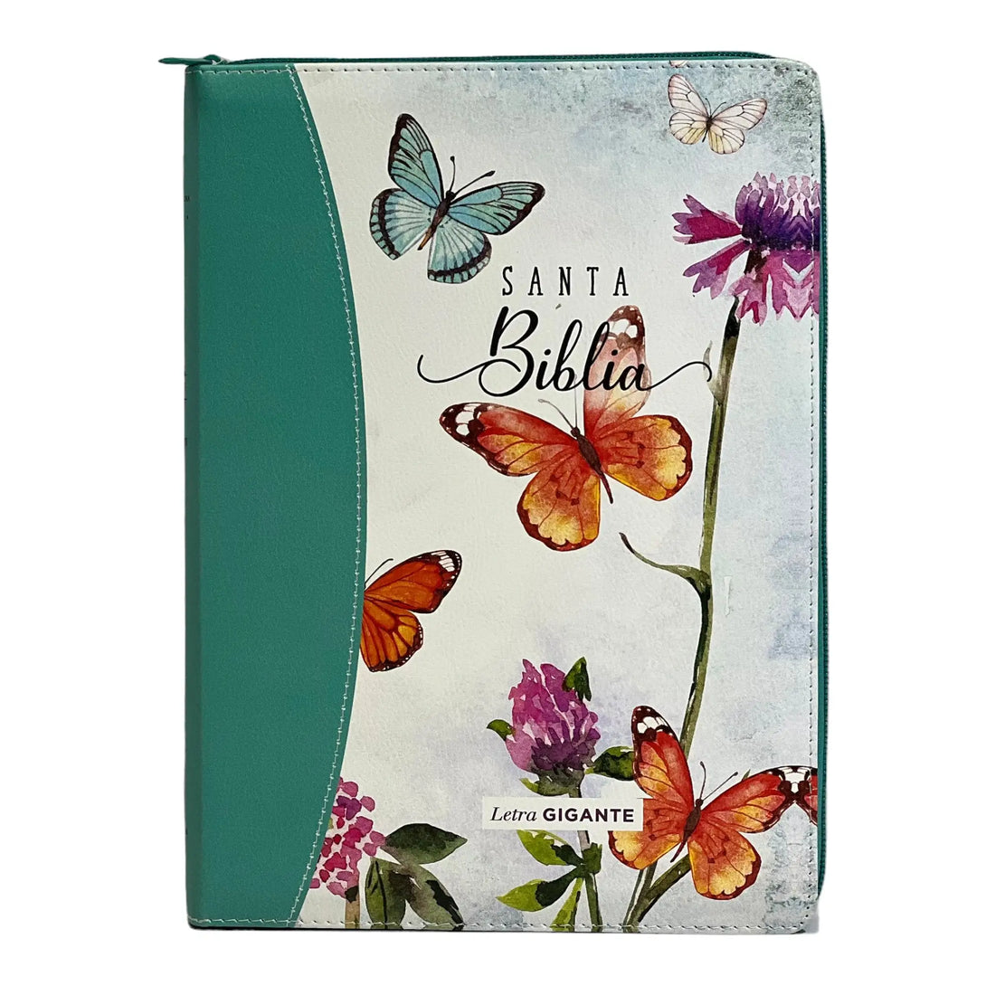 Biblia Reina Valera 1960 tamaño Gigante (170x235 mm) Letra