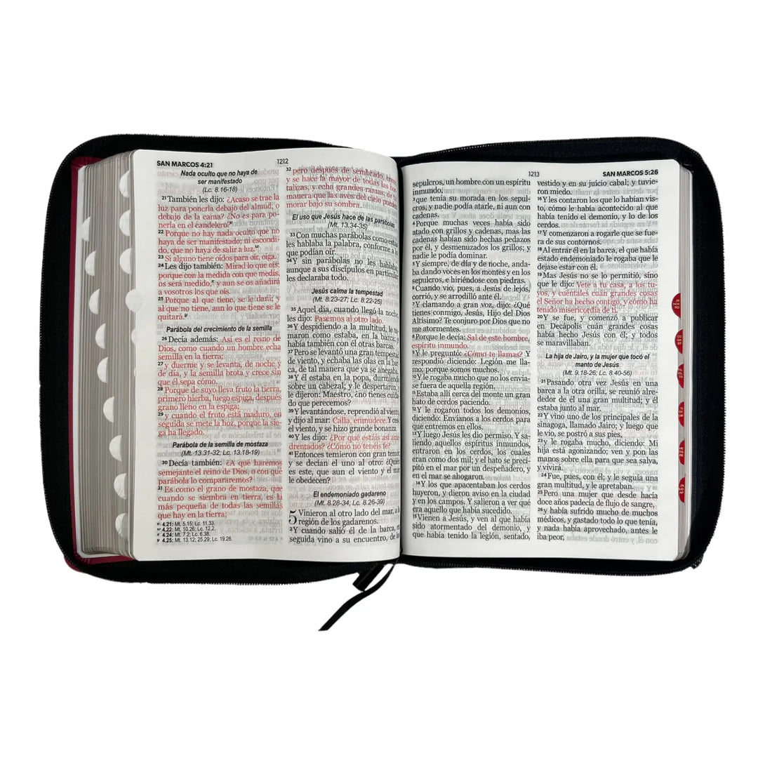 Biblia Reina Valera 1960 tamaño Gigante (170x235 mm) Letra