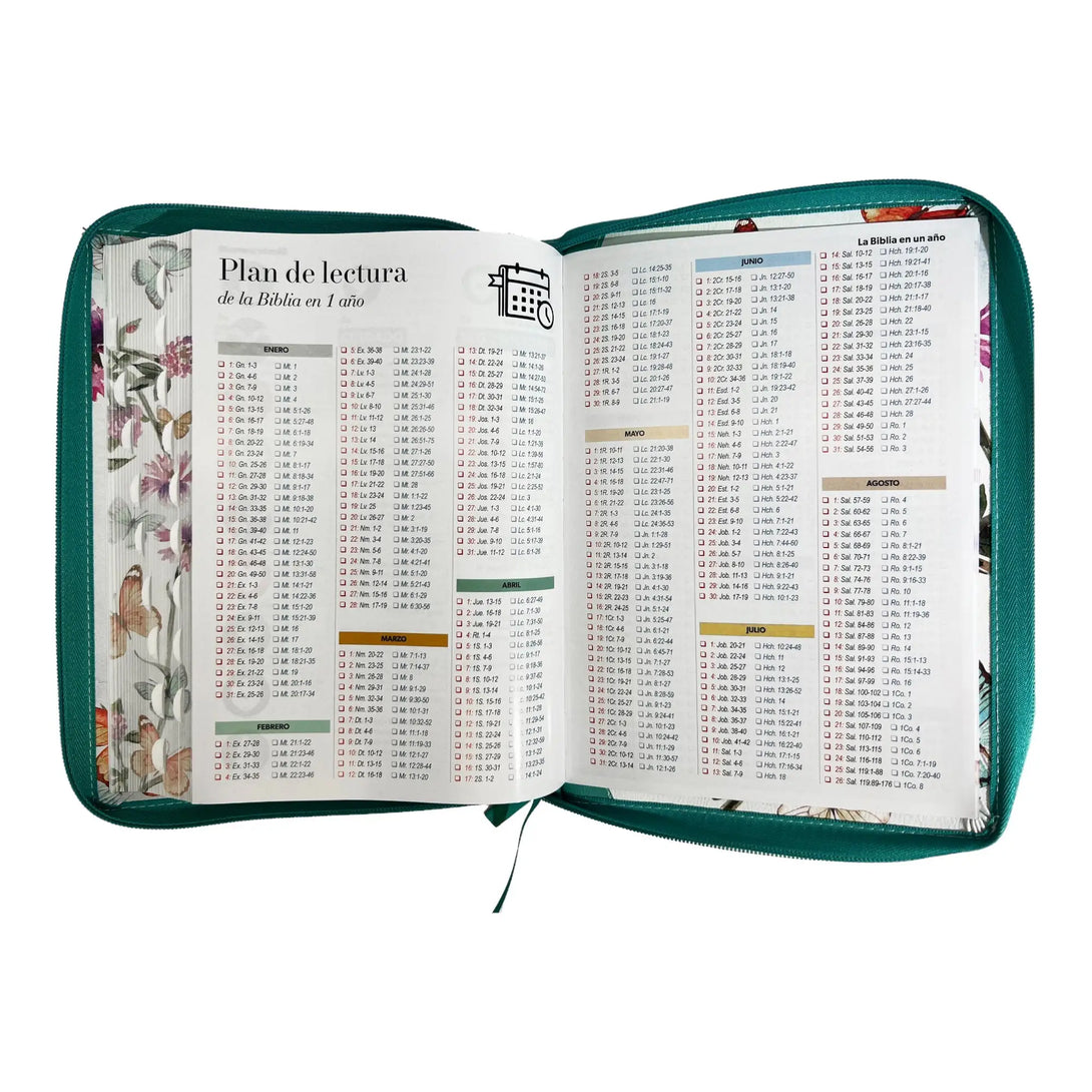 Biblia Reina Valera 1960 tamaño Gigante (170x235 mm) Letra