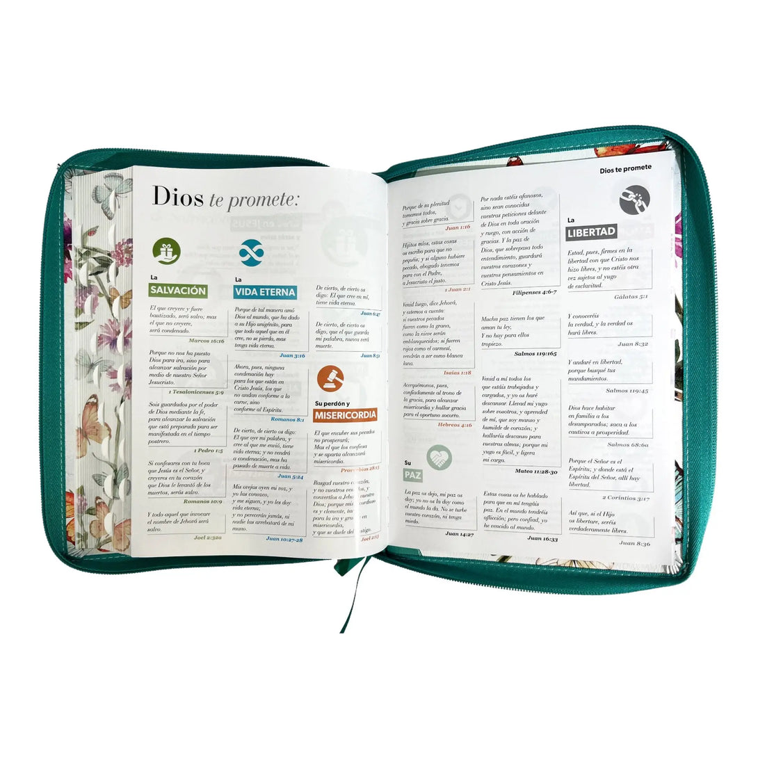 Biblia Reina Valera 1960 tamaño Gigante (170x235 mm) Letra