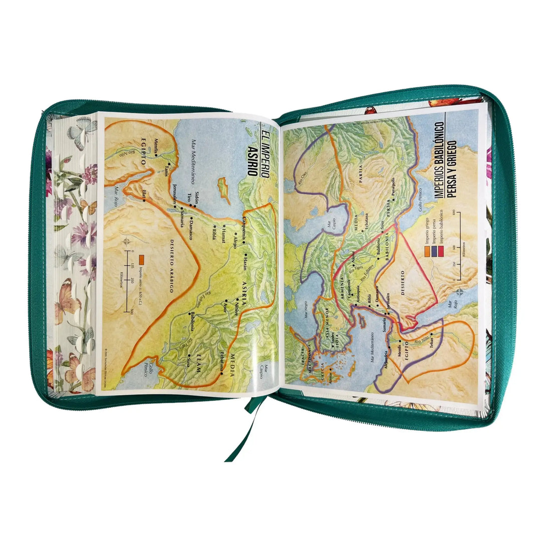 Biblia Reina Valera 1960 tamaño Gigante (170x235 mm) Letra