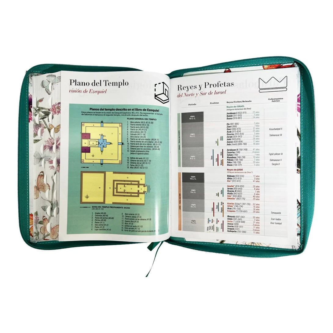 Biblia Reina Valera 1960 tamaño Gigante (170x235 mm) Letra
