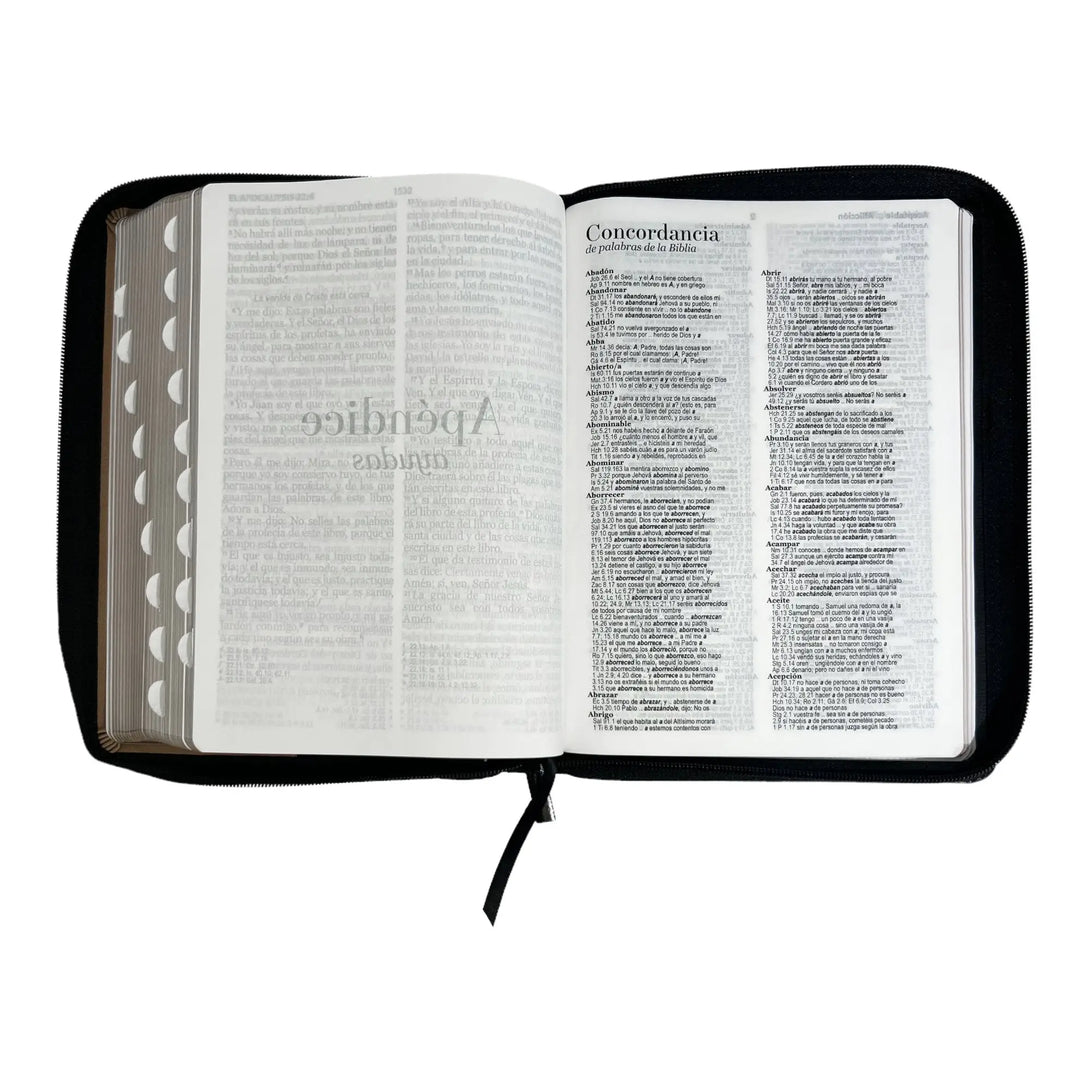Biblia Reina Valera 1960 tamaño Gigante (170x235 mm) Letra